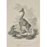 Church (John). A Cabinet of Quadrupeds, consisting of highly-finished engravings by James Tookey