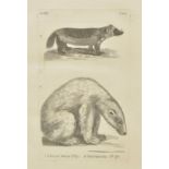 Pennant (Thomas). History of Quadrupeds, & Genera of Birds, 3 volumes bound two, printed for B.