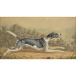 *English School. Foxhound, circa 1840, watercolour on paper, unsigned, 10.5 x 18.5cm (4.25 x 7.