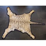 *Tiger. Victorian tiger skin by Van Ingen & Van Ingen, mounted on black felt with remains of paper