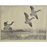 *Benson (Frank Weston, 1862-1951). Three Geese, 1931, lithograph on wove paper, from the edition