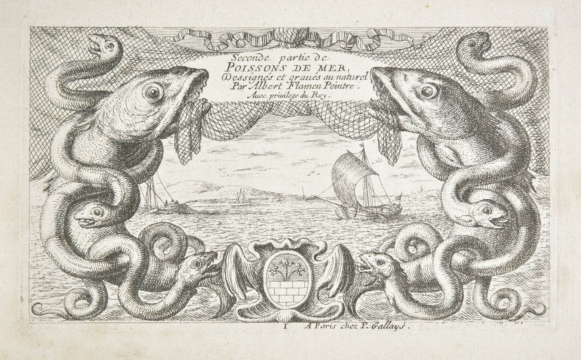 *Flamen (Albert, 1620-1692). Seconde partie de Poissons de Mer, dessignes et graves au naturel,