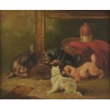 *Attributed to George Armfield (1808-1893). Ratting Terriers, oil on canvas, 34 x 40.5 (13.4 x 15.