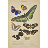 Richardson (Sir John, & others). The Museum of Natural History, 8 volumes, William Mackenzie,
