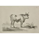 Huet (Villiers). Rudiments of Cattle, R. Ackermann, 1805, 4 parts in one, 24 uncoloured lithographed