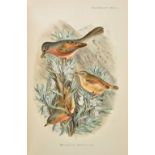 Whitaker (Joseph Isaac Spadafora). The Birds of Tunisia, being a history of the birds found in the
