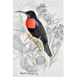 Jackson (Frederick John). The Birds of Kenya Colony and the Uganda Protectorate, Completed and