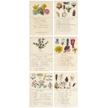 *Botanical cards. A set of twenty-two hand-drawn cards, circa 1810, 22 cards, each with pen, ink,