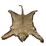 LEOPARD SKIN RUG with full mount head