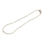 GRADUATING SEED PEARL NECKLACE