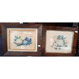 A 19TH CENTURY WATERCOLOUR of flowers in a rosewood frame and another similar