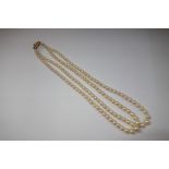 A DOUBLE STRAND GRADUATED CULTURED PEARL NECKLACE, with a 9 ct yellow gold clasp set with an