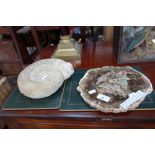 AN AMMONITE FOSSIL, Jurassic period, 21 cm wide and a polished cross section of petrified wood, 25
