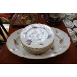 A COLLECTION OF CONTINENTAL CERAMIC DINNER PLATES decorated with floral sprays and a matching meat