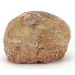 Large fossilised dinosaur egg, 12cm H x 18cm W x 14cm D Further condition reports can be found at