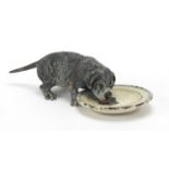 Austrian cold painted bronze dog licking a plate, stamped Geschutzt to the base, 9cm in length