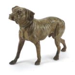 Large 19th century cold painted dog, 35cm in length : For further Condition Reports Please Visit our