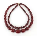 Two cherry amber coloured bead necklaces, the largest 48cm in length, approximate weight 107.0g :