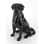 Large Beswick seated Labrador, 34cm high : For further Condition Reports Please visit our Website