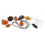 Natural amber blocks including one with scorpion, one with insects and red amber : For further