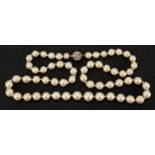 Single string pearl necklace with unmarked gold diamond clasp, 54cm in length, approximate weight