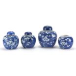 Four Chinese blue and white porcelain ginger jars, hand painted with Prunus flowers, the largest
