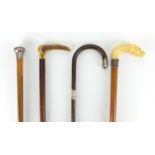 Four walking sticks including a Malacca example, with silver pommel and a silver mounted bamboo