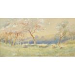 W Chater 1916 - Grazing sheep, watercolour, mounted and framed, 18cm x 9cm : For extra condition