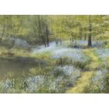 Andrew Dandridge - Past The Ponds in Arlington, Bluebell Wood, label verso, mounted and framed, 37.
