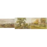 William Sleath - Two rural scenes and ducklings crossing a river, three watercolours, mounted and