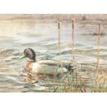 J C Lund - On Scarthingwell Lake, watercolour, mounted and framed, 21cm x 16cm : For extra condition