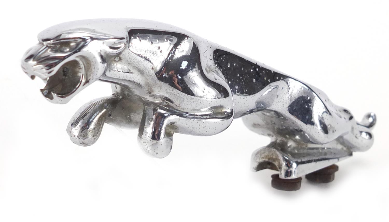 Vintage chrome Jaguar car mascot, numbered 710091WB5, 19cm in length : For Further Condition Reports