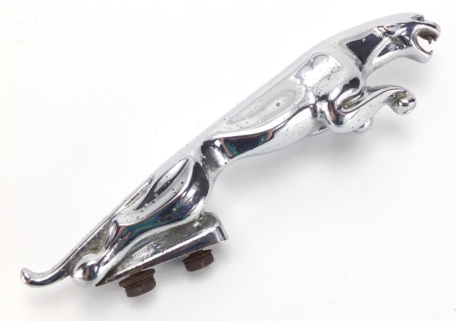 Vintage chrome Jaguar car mascot, numbered 710091WB5, 19cm in length : For Further Condition Reports - Image 2 of 4