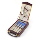 Leather cased vanity set, four tools with silver and blue guilloche enamelled handles, Birmingham