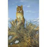 Woodcock - Mountain lion, oil on canvas, label verso, mounted and framed, 91cm x 60cm : For