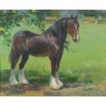 Frank Wootton - Study of a shire horse, oil on canvas, inscribed verso, mounted and framed, 30cm x