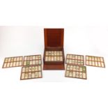 Victorian microscopic specimen glass slides arranged in twelve trays, housed in a mahogany case