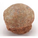 Large prehistoric fossilised Hadrosaurus dinosaur egg, 14.5cm H x 18cm W x 14.5cm D :For Further