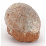 Large prehistoric fossilised Hadrosaurus dinosaur egg, 14.5cm H x 16cm W x 13cm D :For Further