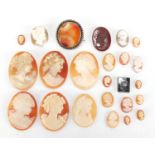 Collection of cameo maiden head panels, the largest 3cm in length : For Further Condition Reports