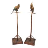 Pair of Victorian pottery parrots on stands, the largest 153cm high :For Further Condition Reports