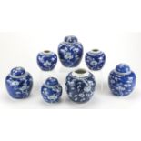 Seven Chinese blue and white porcelain ginger jars four with covers, each hand painted with Prunus