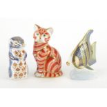 Three Royal Crown Derby paperweights with stoppers, tropical angelfish, squirrel and a cat, the