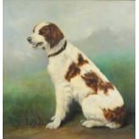 E S Shaw - Portrait of dog, Edwardian oil on canvas, part label verso, framed, 49cm x 47cm :For