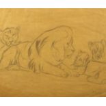 Silvia Baker Hay - Lion with three cubs, pencil drawing, inscribed verso, mounted and framed, 35.5cm