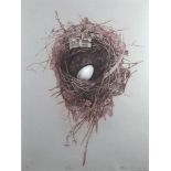 Mila Fürstová 2011 - Nest, pencil signed artist proof print, inscribed Artist Coldplay album cover