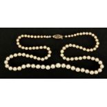 Cultured pearl necklace with 14ct gold diamond clasp, 48cm in length, approximate weight 15.5g : For