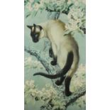 Charles Frederick Tunnicliffe - Siamese cats, pencil signed print in colour, with embossed