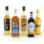 Six bottles of liqueur including Aalborg, Soplica and Cabasset : For Further Condition Reports