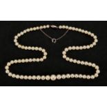 Cultured pearl necklace with 9ct gold clasp, housed in a Pleasance & Harper Ltd tooled leather